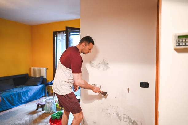 Best Home Mold Removal  in Centralia, WA